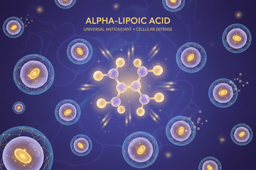 Alpha-Liponsäure: Das universelle Antioxidans, das deine Zellen von innen schützt