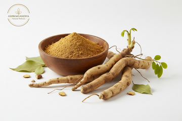 Ashwagandha: Wirkung, Anwendung &amp; warum das Ayurveda-Adaptogen heute so beliebt ist