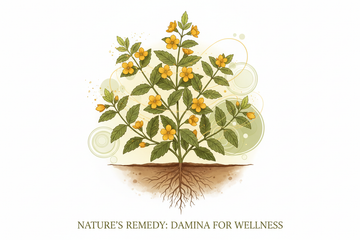 Damiana (Turnera diffusa): Wirkung, Anwendung & Nebenwirkungen – was steckt hinter dem „Libido-Kraut“?