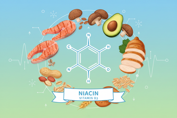 Niacin (Vitamin B3): Wirkung, Bedarf, Mangel und alles, was du wissen musst