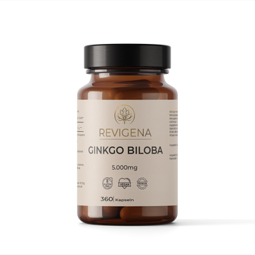 Ginkgo Biloba 50:1 Extrakt – 2.500 mg Blätter, 360 vegane Tabletten