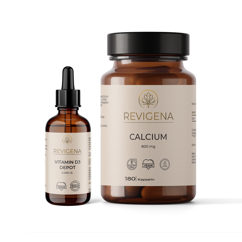 Knochen und Muskeln Aktiv Set